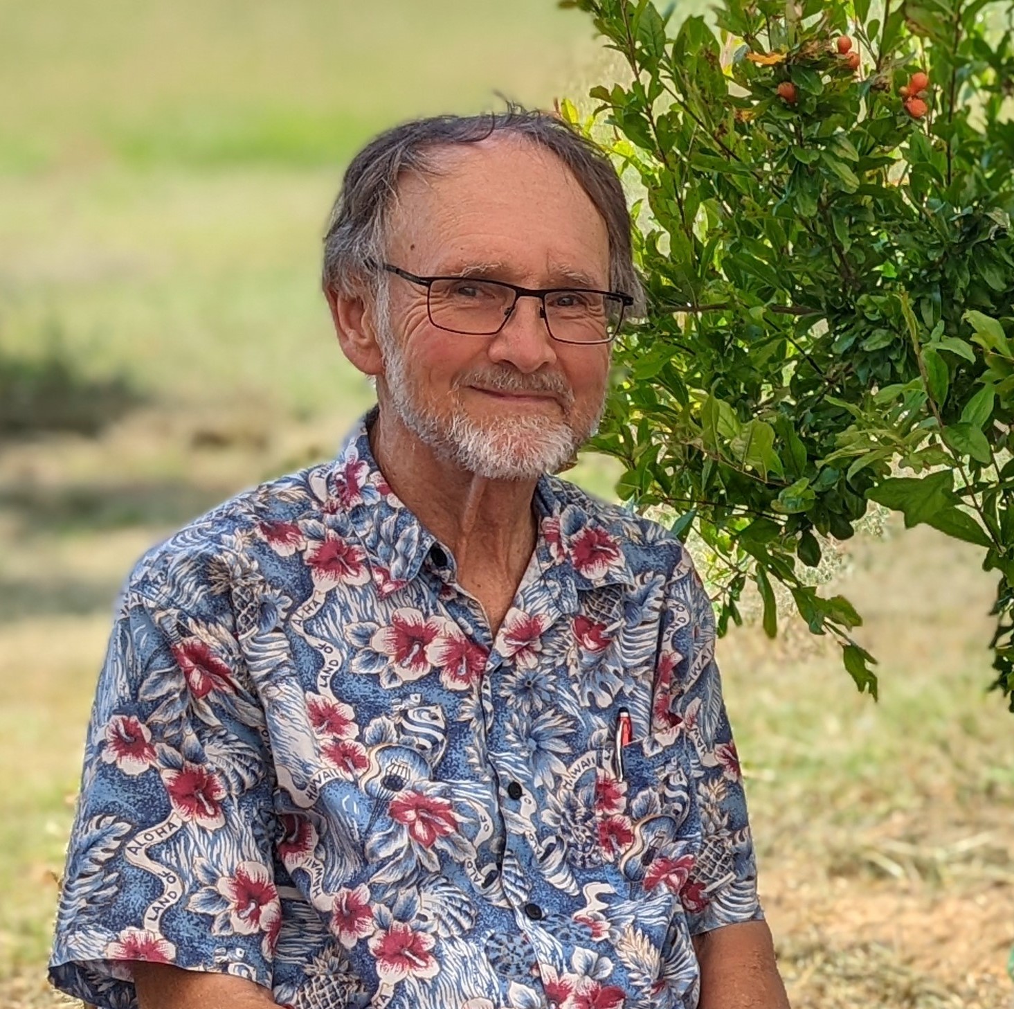 Emeritus Professor Robert Dewar