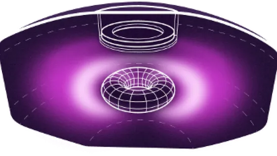 computer generated image of Levitated Dipole Reactor