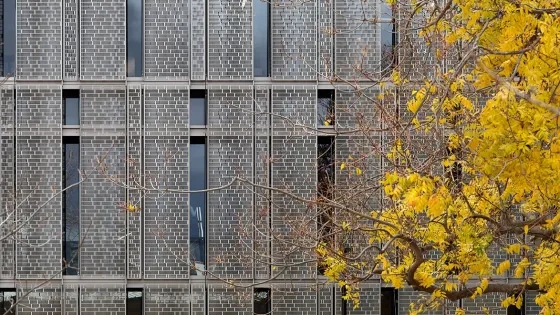 building exterior with yellow tree