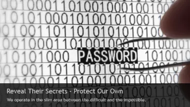 Reveal their secrets - Prptect our own. We operate in the slim area between the difficult and the impossible.