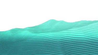 Topology