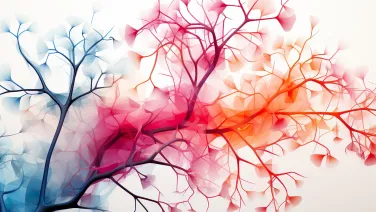 The Tau of Ramanujan