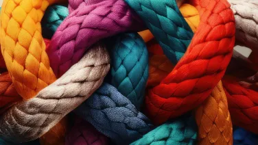 Knots and Primes – What do primes look like?